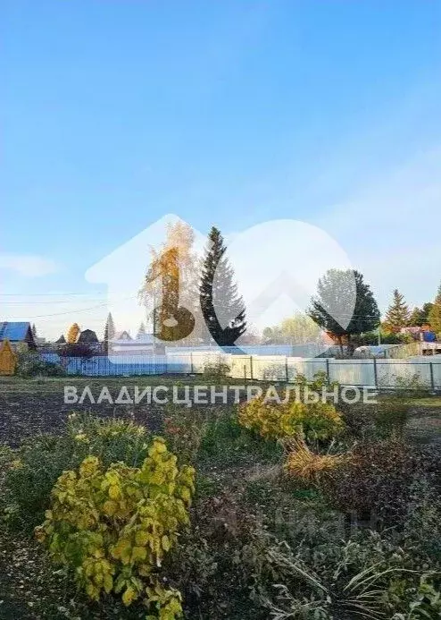 Участок в Новосибирская область, Искитимский район, Березка садовое ... - Фото 0