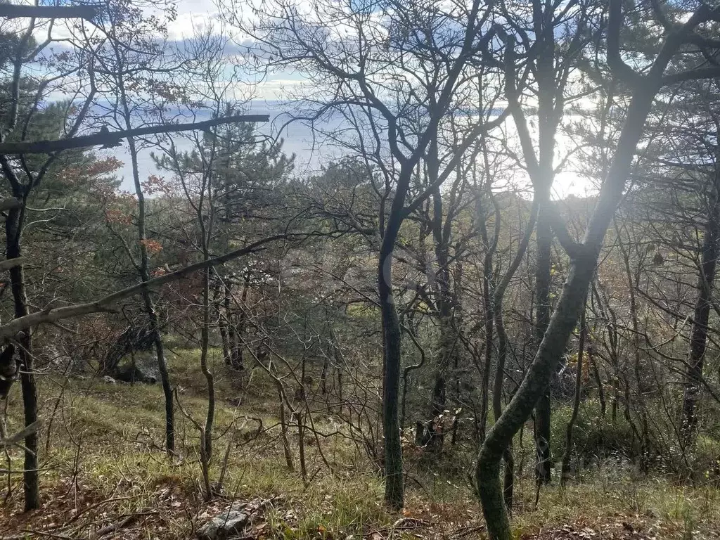 Участок в Крым, Ялта муниципальный округ, Кореиз пгт  (10.0 сот.) - Фото 2