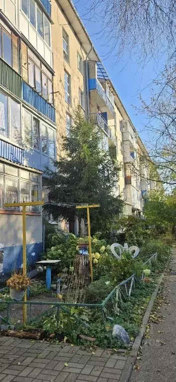 1-к кв. Калининградская область, Калининград ул. Александра Невского, ... - Фото 1