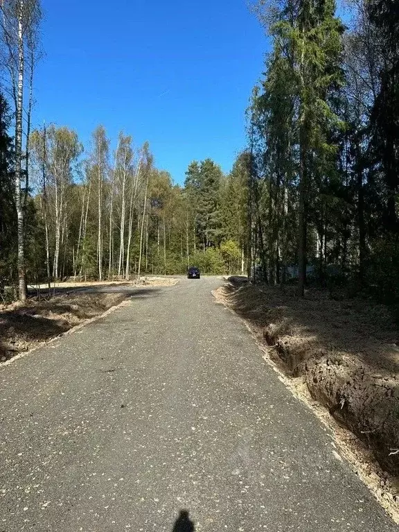 Участок в Московская область, Солнечногорск городской округ, д. ... - Фото 1