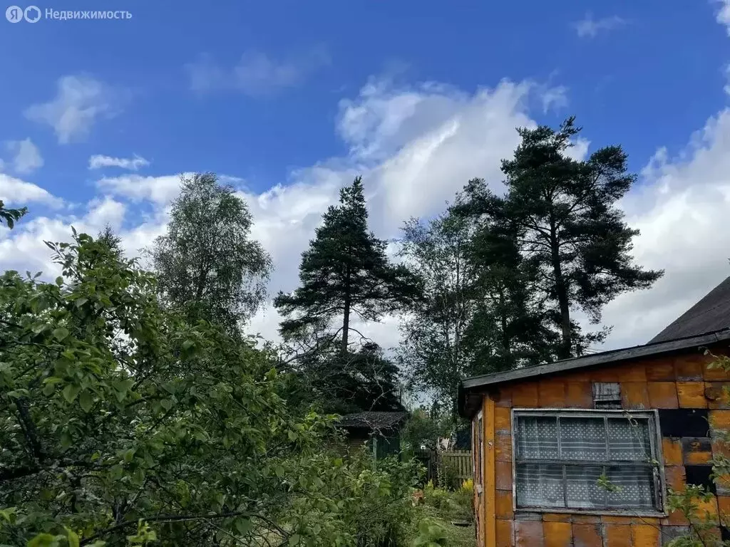 Дом в посёлок Семрино, 5-я линия, 19 (17.8 м) - Фото 2