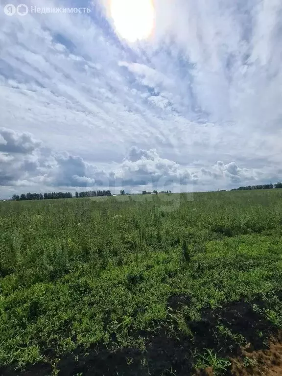 Участок в Лямбирский район, село Берсеневка (14 м) - Фото 1
