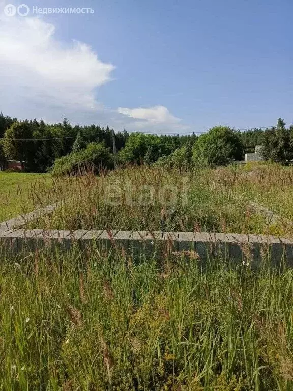 Участок в Старооскольский городской округ, село Новокладовое, Сосновая ... - Фото 1