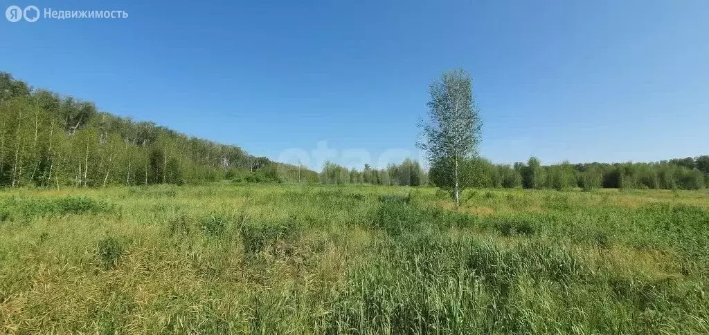 Участок в Омский район, село Усть-Заостровка (10 м) - Фото 0