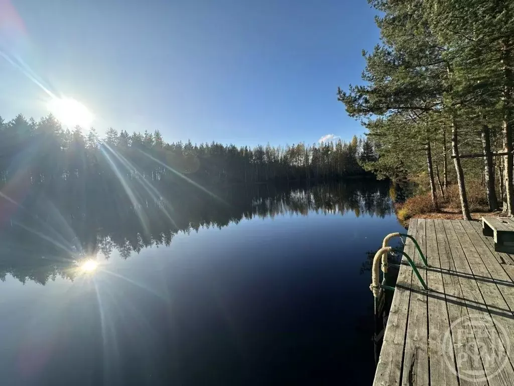 Участок в Ленинградская область, Выборгский район, Гончаровское с/пос, ... - Фото 1