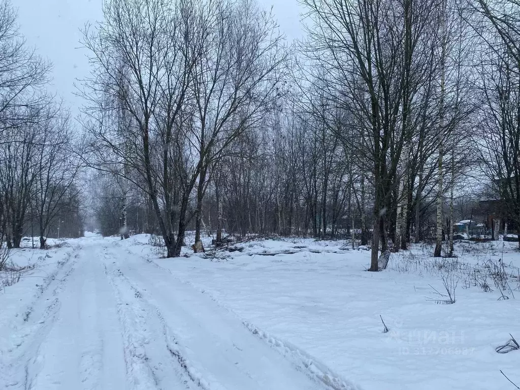 Участок в Московская область, Солнечногорск городской округ, д. ... - Фото 0