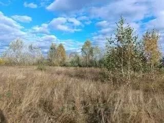 Участок в Курганская область, Курган ул. Зайцева, 51 (6.7 сот.) - Фото 1