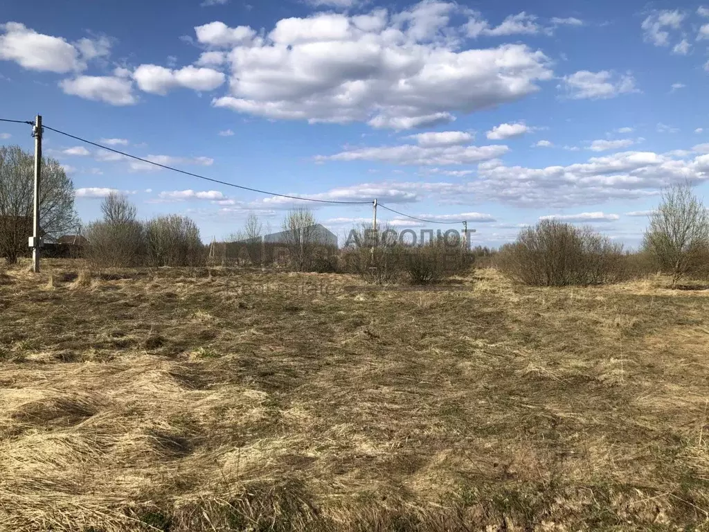 Участок в Новгородская область, Новгородский район, Савинское с/пос, ... - Фото 1