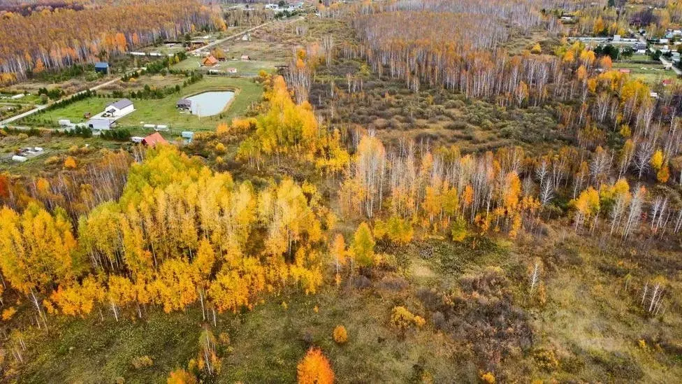 Участок в Тюменская область, Нижнетавдинский район, Геофизик 2 СНТ  ... - Фото 1