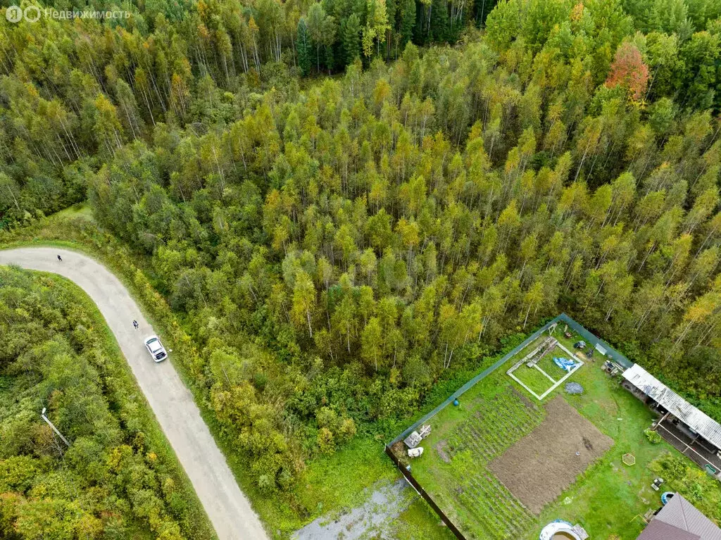 Участок в посёлок Туртас, Усадебная улица (14 м) - Фото 2