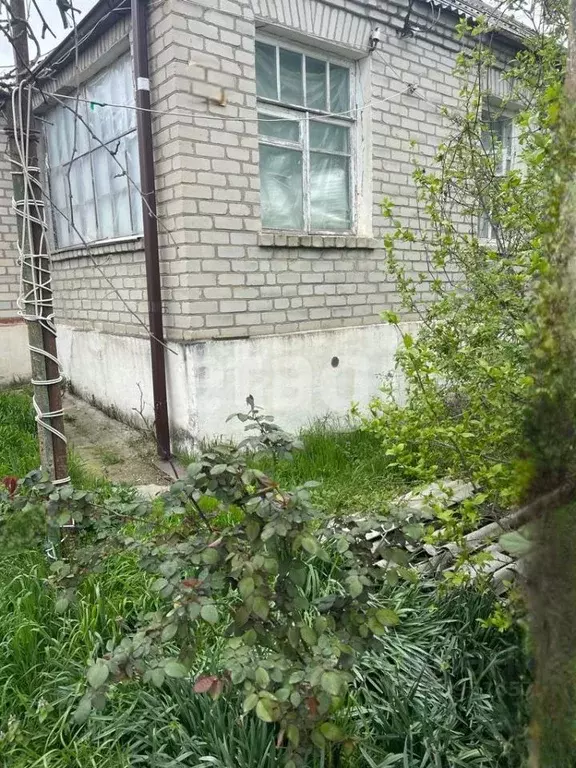 Дом в Краснодарский край, Новороссийск городской округ, с. Мысхако ул. ... - Фото 1