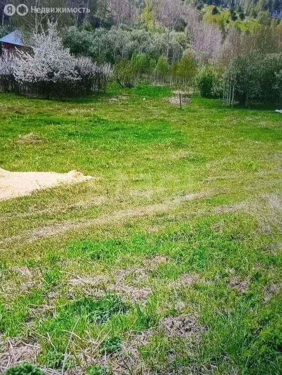 Участок в Горно-Алтайск, СНТ Бочкарёвка (10 м) - Фото 2