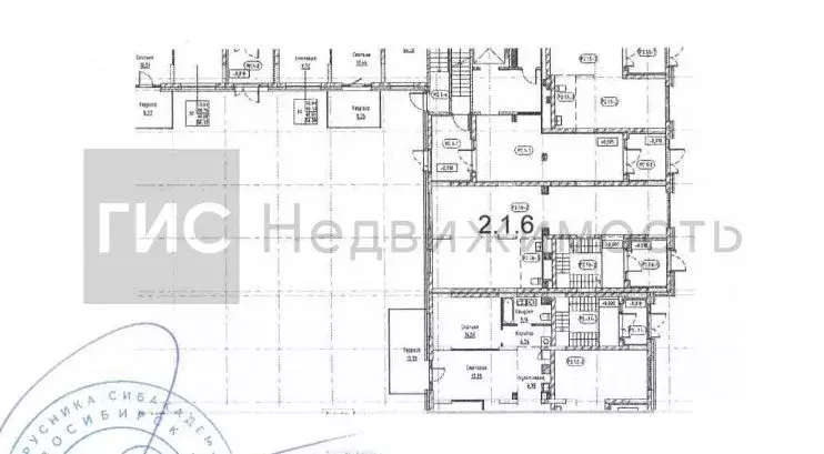 Помещение свободного назначения в Новосибирская область, Новосибирский ... - Фото 1