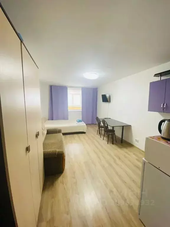 Студия Свердловская область, Екатеринбург ул. Спутников, 16/4 (28.0 м) - Фото 2