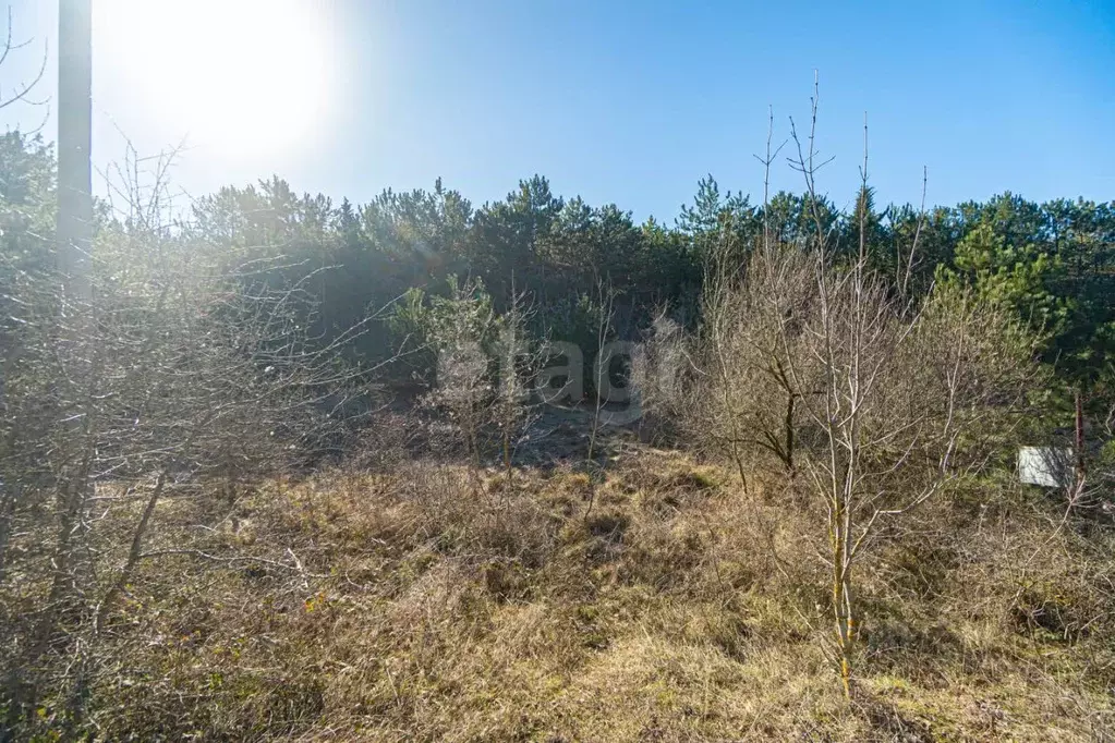 Участок в Севастополь Балаклавский муниципальный округ, Наука-2 СТ,  ... - Фото 2