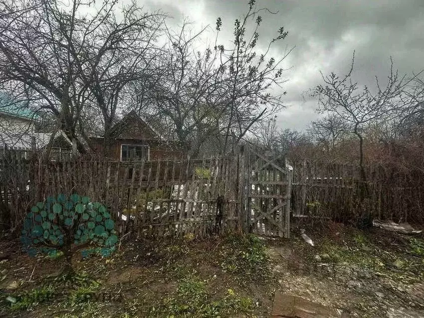 Участок в Самарская область, Самара Ясная Поляна СТ, 9-я линия, 244А ... - Фото 2