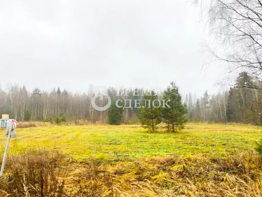 Участок в Владимирская область, Гусь-Хрустальный муниципальный округ, ... - Фото 2