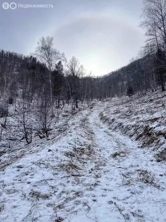 Участок в Чемальский район, село Уожан (450 м) - Фото 2