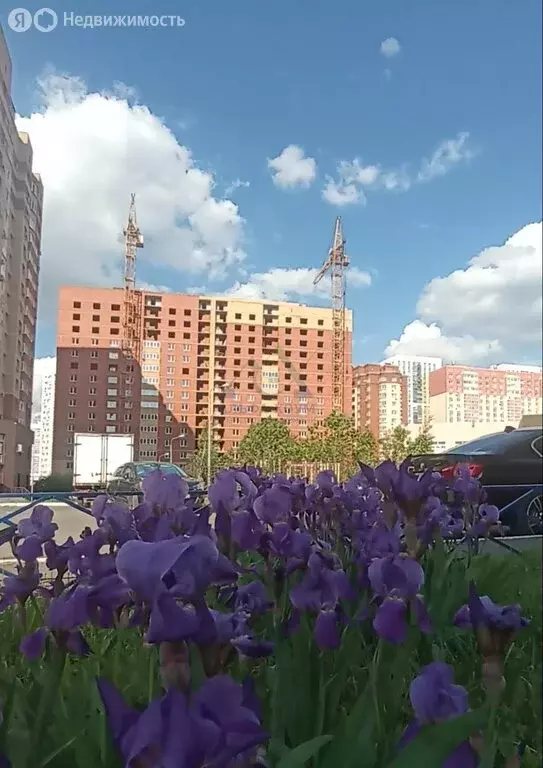 3-комнатная квартира: Оренбург, Северо-Восточный жилой район, 17-й ... - Фото 1