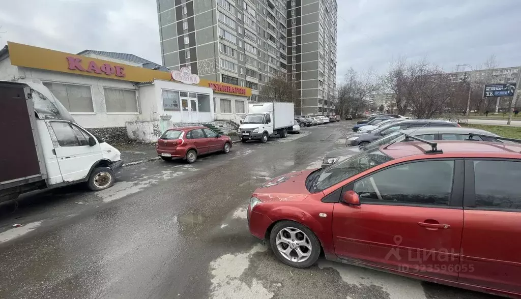 Торговая площадь в Свердловская область, Екатеринбург ул. Софьи ... - Фото 2