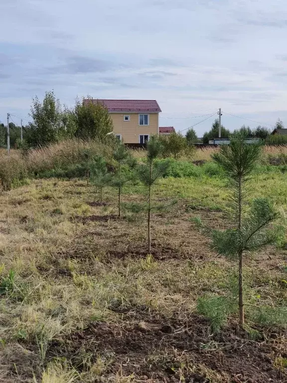 Участок в Московская область, Чехов городской округ, д. Алферово ул. ... - Фото 0