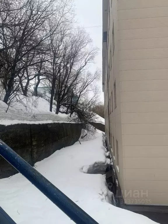 Помещение свободного назначения в Камчатский край, ... - Фото 2