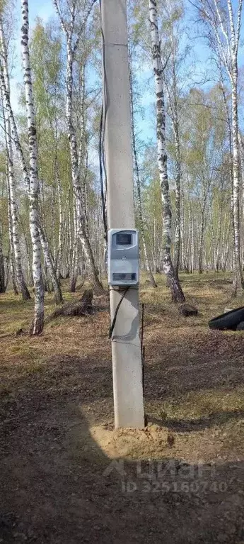 Участок в Алтайский край, Первомайский район, с. Таловка  (54.77 сот.) - Фото 1