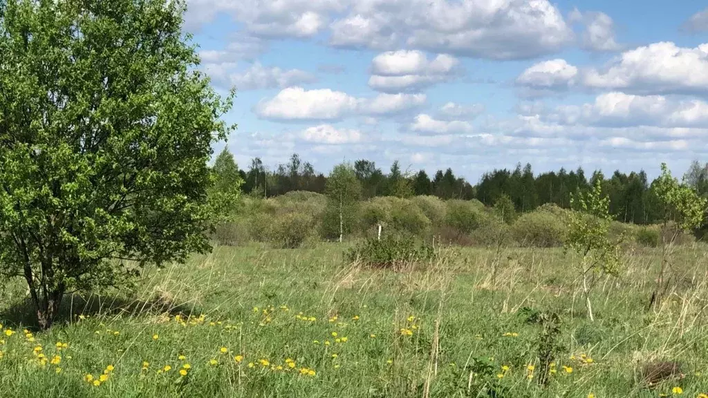 Участок в Московская область, Можайский муниципальный округ, д. ... - Фото 1