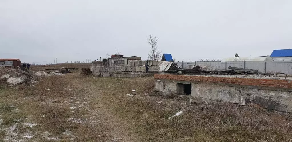 Участок в Алтайский край, Барнаул городской округ, пос. Научный ... - Фото 2