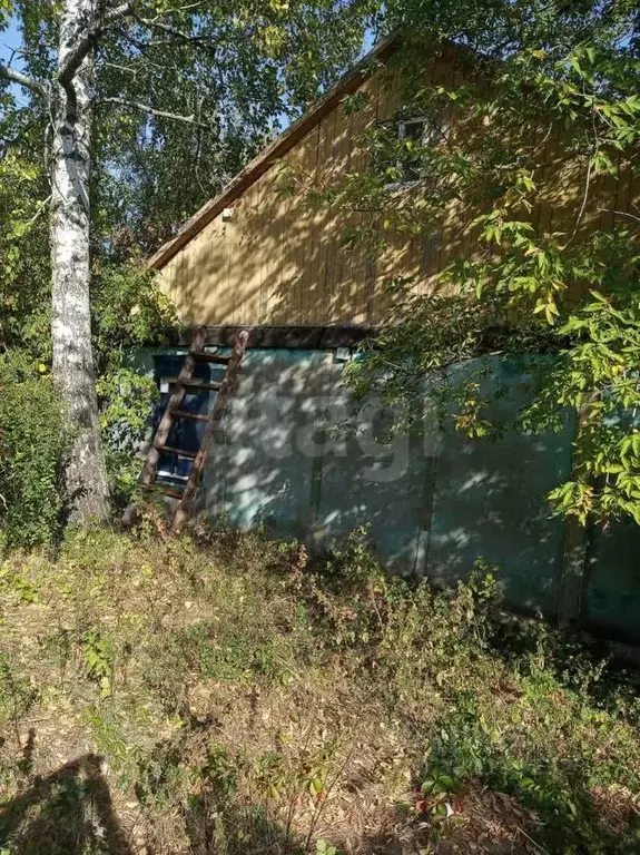 Дом в Белгородская область, Валуйский муниципальный округ, с. Лавы ул. ... - Фото 0