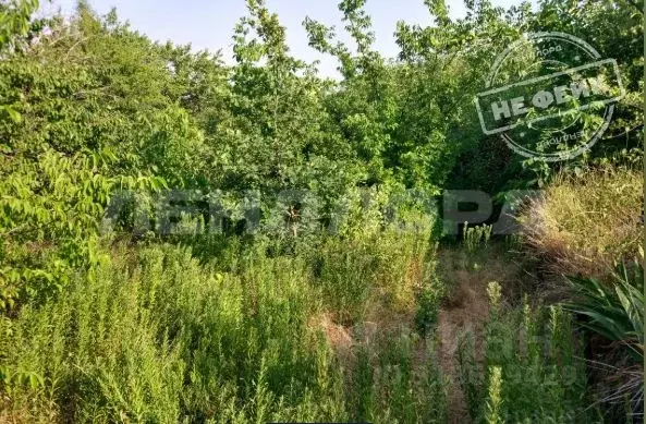 Участок в Ростовская область, Новочеркасск № 16 садовое товарищество, ... - Фото 0