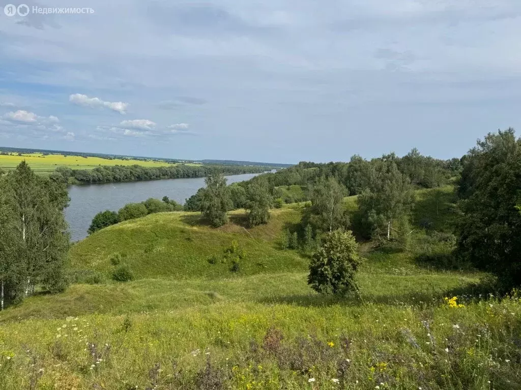 Участок в Московская область, муниципальный округ Луховицы, село ... - Фото 1