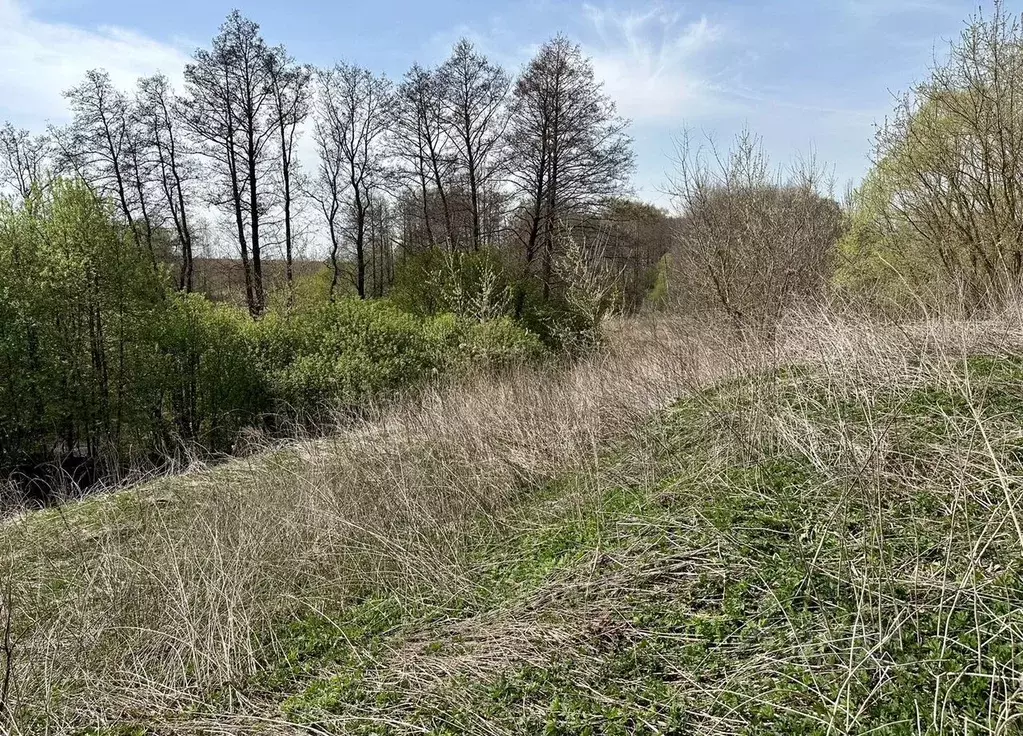 Участок в Московская область, Коломна городской округ, д. Ворыпаевка ... - Фото 2