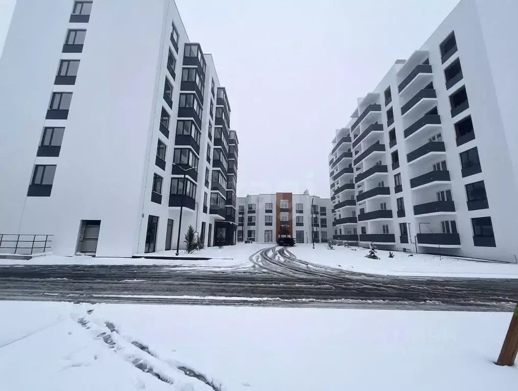 2-к кв. Воронежская область, Борисоглебск Аэродромная ул., 18Г (55.54 ... - Фото 1