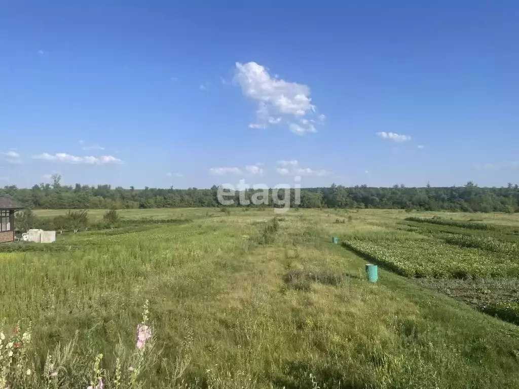 Участок в Белгородская область, Старооскольский городской округ, с. ... - Фото 0