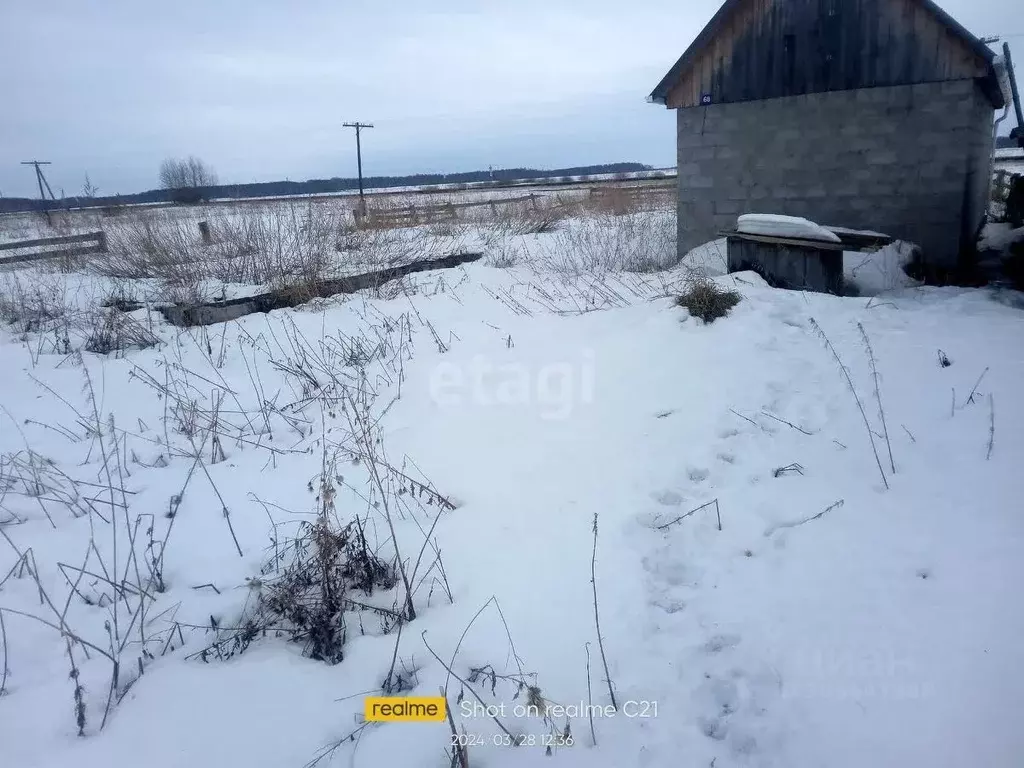 участок в тюменская область, с. большое сорокино ул. зои . - Фото 1