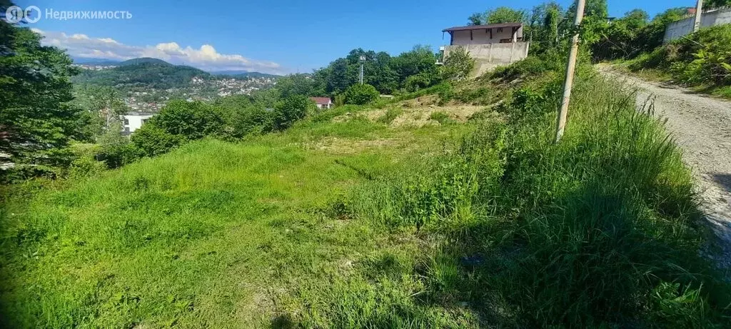Участок в Сочи, СНТ Чаевод, улица Туманяна (6.5 м) - Фото 1