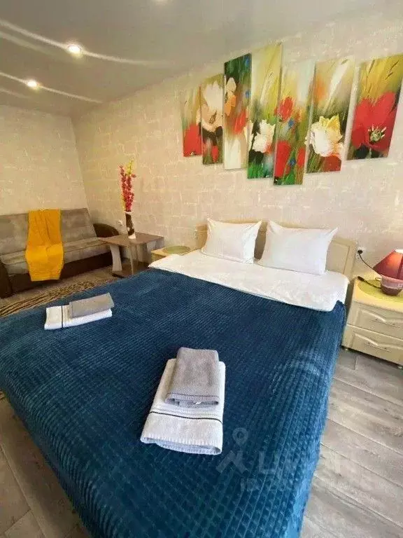 1-к кв. Ивановская область, Шуя пос. Победа, 39 (20.0 м) - Фото 1