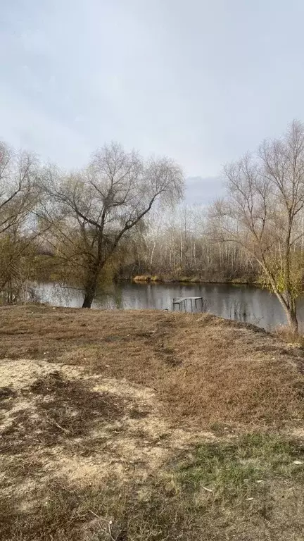 Участок в Саратовская область, Энгельсский район, Красноярское ... - Фото 1