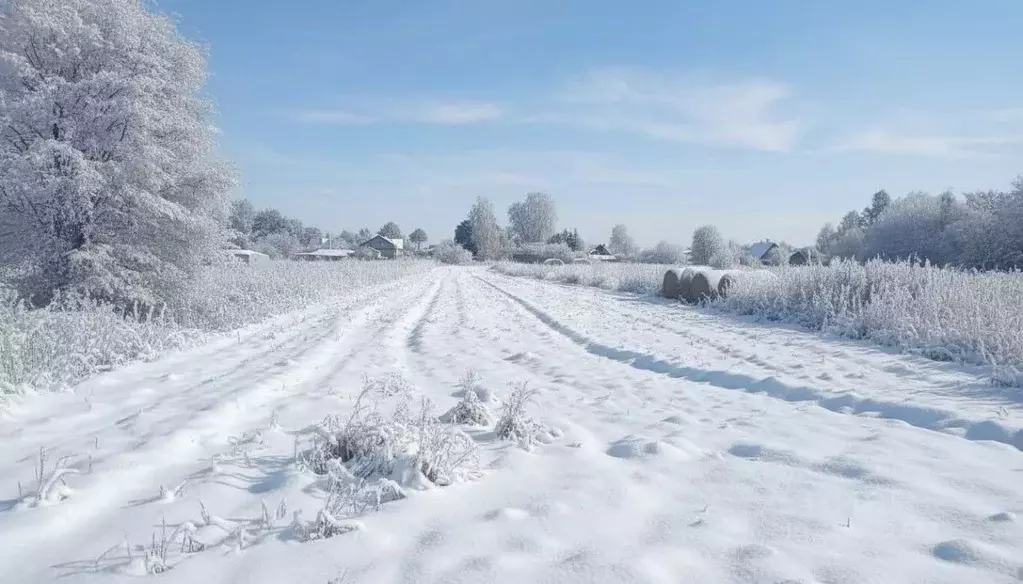 Участок в Ленинградская область, Волосовский район, Калитинское с/пос, ... - Фото 2