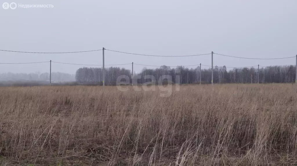 Участок в Тюменский район, деревня Малиновка (5 м) - Фото 1