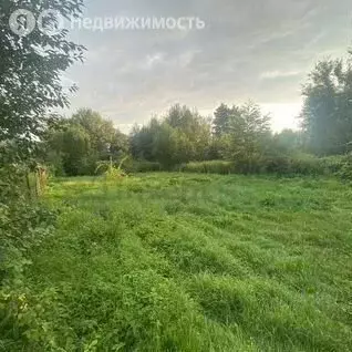 Участок в Калининград, СНТ Радуга, Морской проезд (7 м) - Фото 1