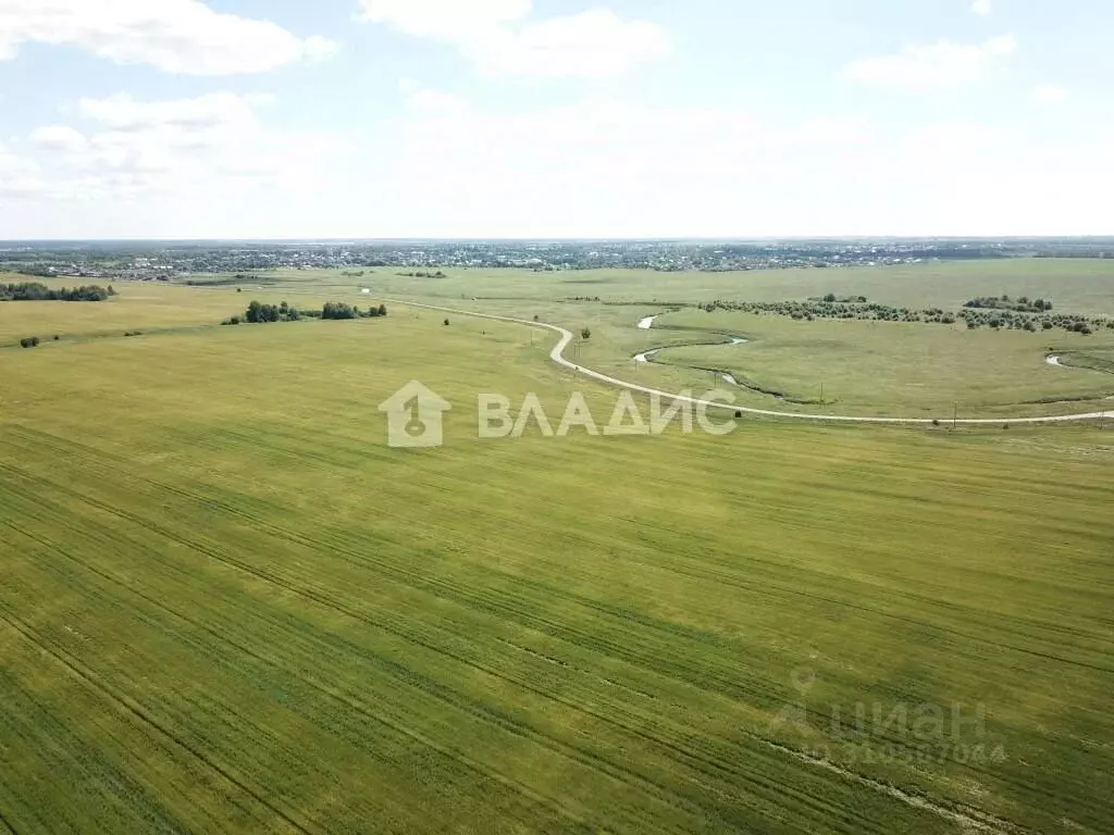 Участок в Владимирская область, Суздальский район, Селецкое ... - Фото 0