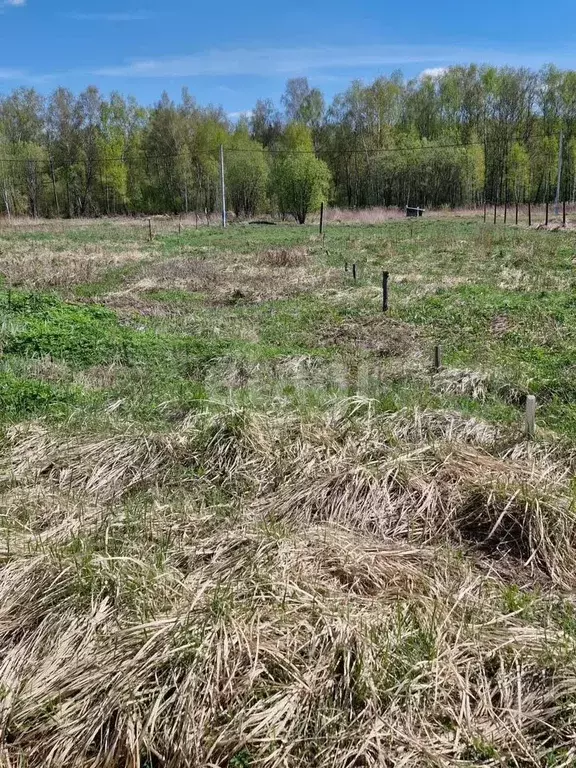 Участок 6 сот. (СНТ, ДНП) - Фото 0