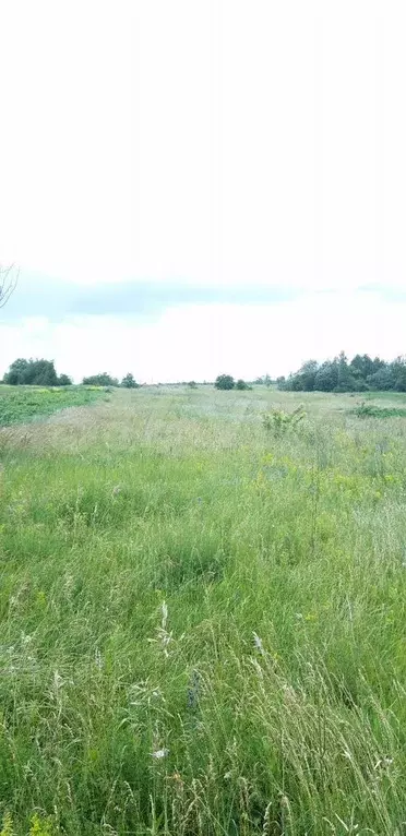 Участок 40,4 сот. (ИЖС) - Фото 0