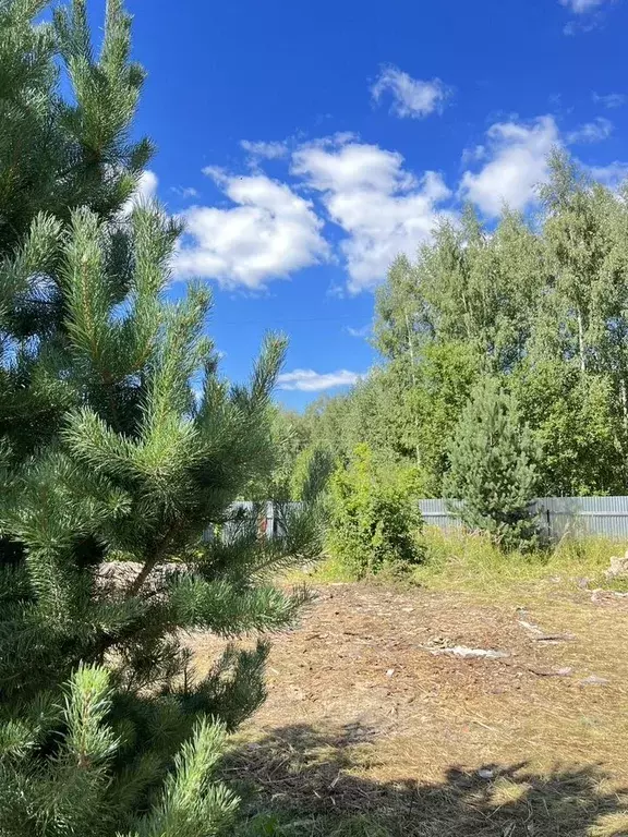 Участок в Московская область, Орехово-Зуевский городской округ, пос. ... - Фото 2