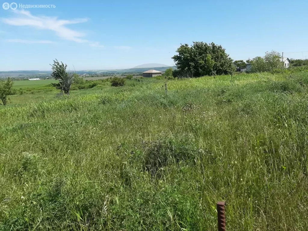 Участок в Краснодарский край, муниципальный округ Анапа, хутор ... - Фото 1
