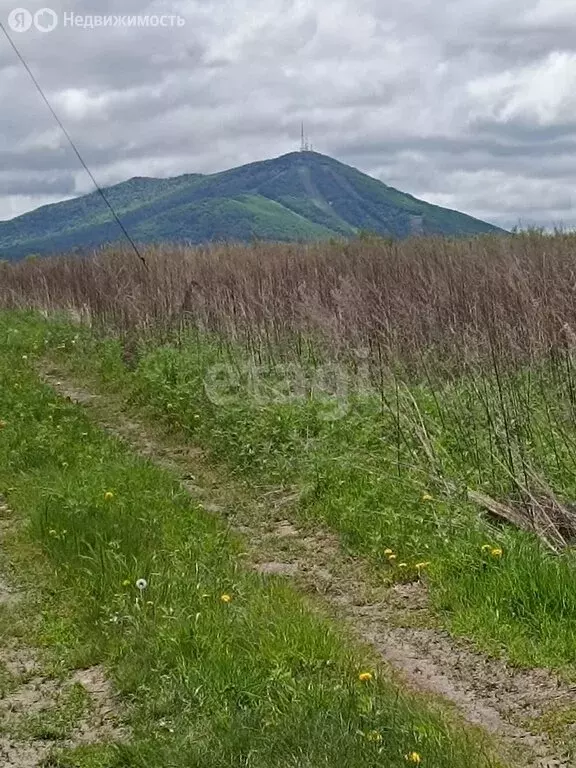 Участок в Арсеньев, Колхозная улица (12.7 м) - Фото 0