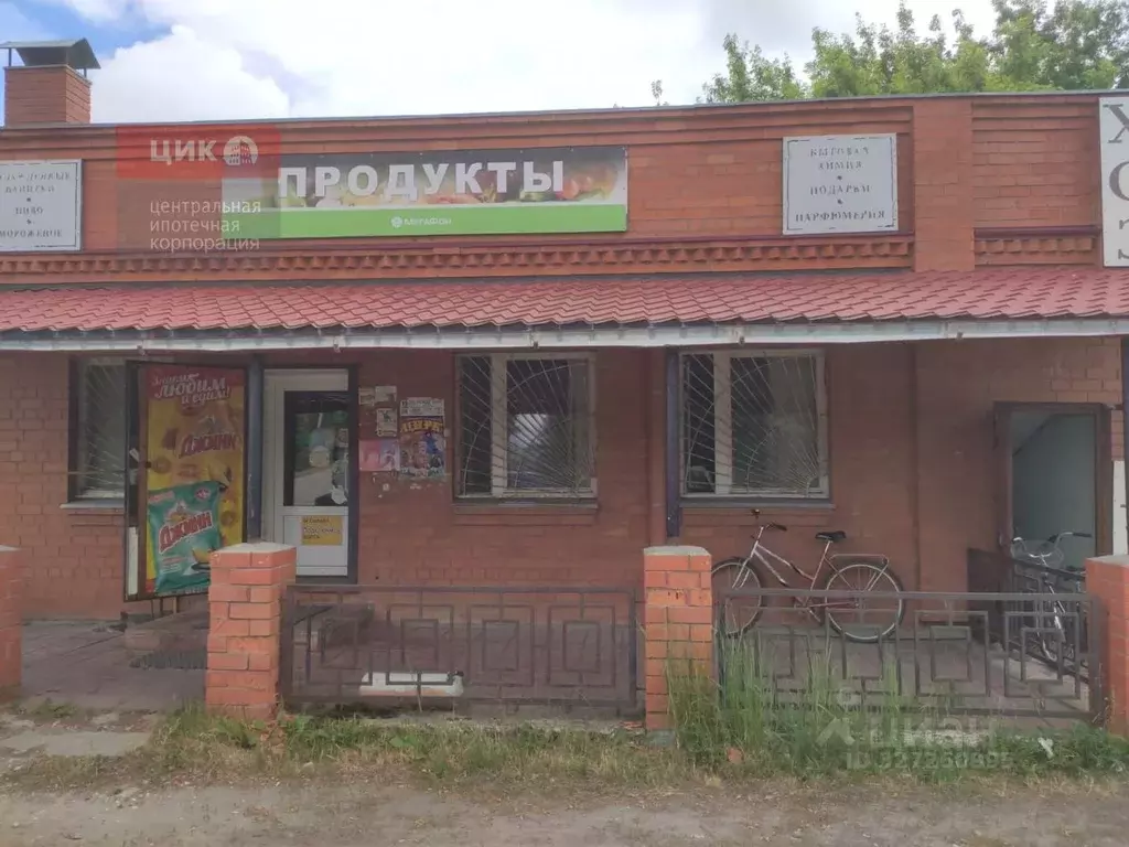 Помещение свободного назначения в Рязанская область, Шацкий ... - Фото 1