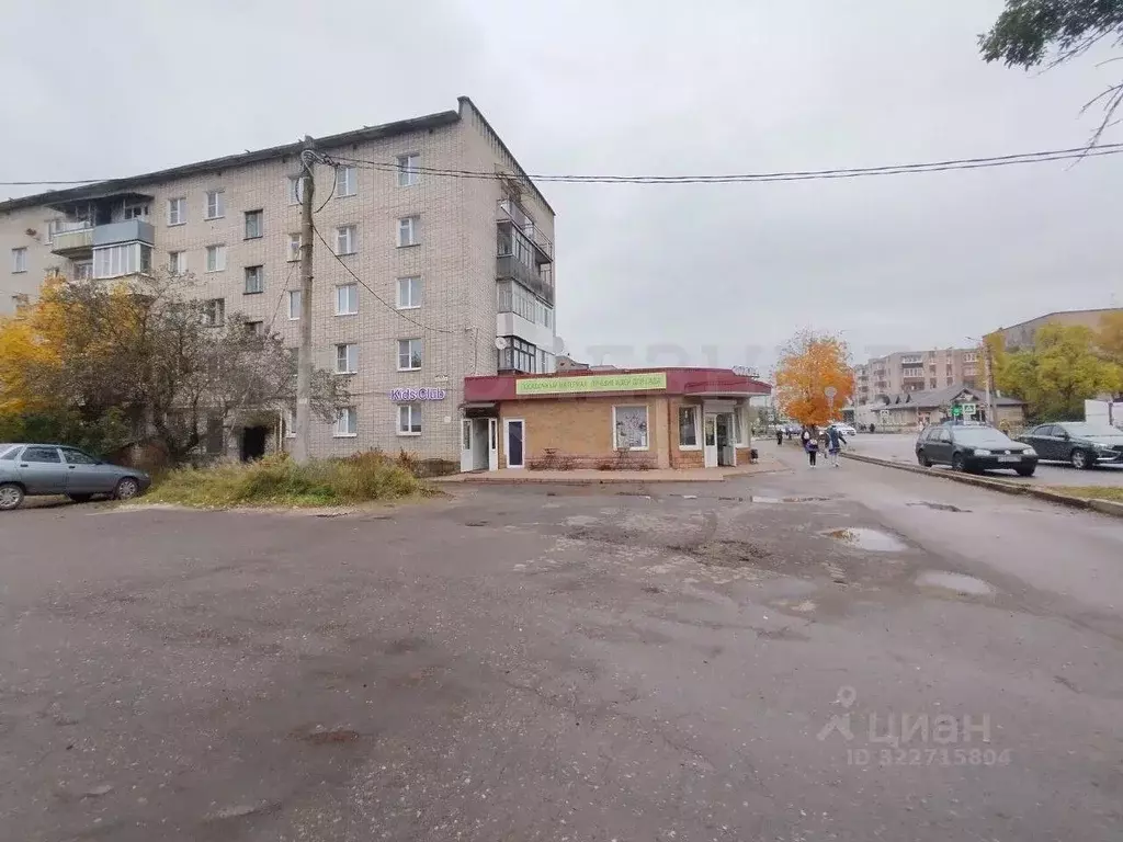 3-к кв. Новгородская область, Боровичи Пушкинская ул., 43 (48.6 м) - Фото 1